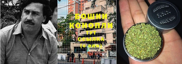 бошки Абаза
